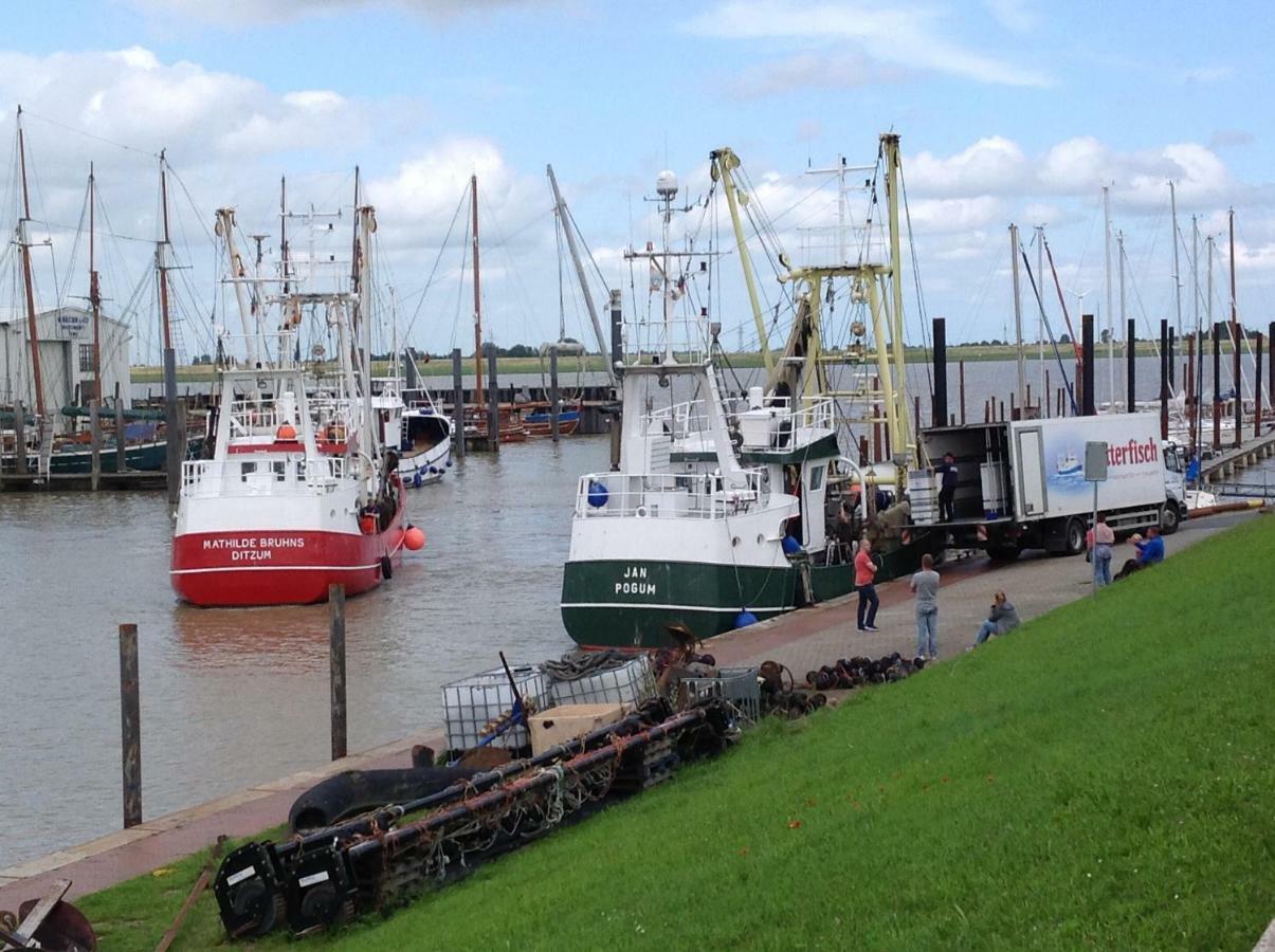 Vier Sterne Am Hafen, ディツム エクステリア 写真